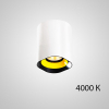 Точечный светильник REXTON A L2 White Yellow 4000 К