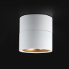 Потолочный светильник AGENDA White+Gold 7W